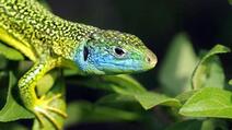0601oupd-6018-212x119.jpg