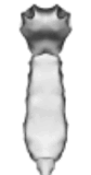 0601ox6s-9590-84x160.png