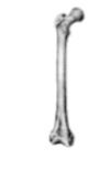 0601ox89-62d8-101x154.png