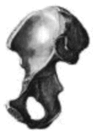 0601ox8f-3d7f-93x135.png
