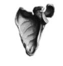 0601ox9d-c74a-125x132.png