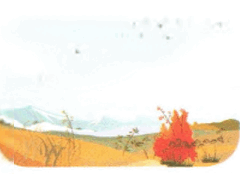 0601oym2-6993-240x174.png