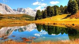 TEST "Unit 9. Close to Nature" (Wider World 2)
