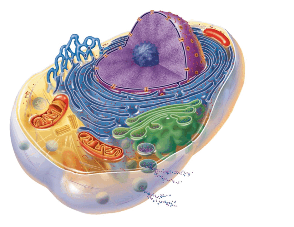 0601p7l4-2d1a-940x727.png