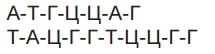 0601p7xr-753d-215x54.png