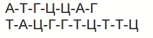 0601p7xw-77ea-222x56.png
