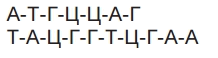 0601p7y4-9585-218x58.png