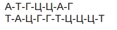 0601p7y8-0a53-230x60.png