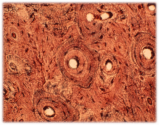 0601p8d9-af07-550x434.png