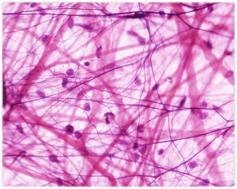 0601p8e8-4493-932x746.png