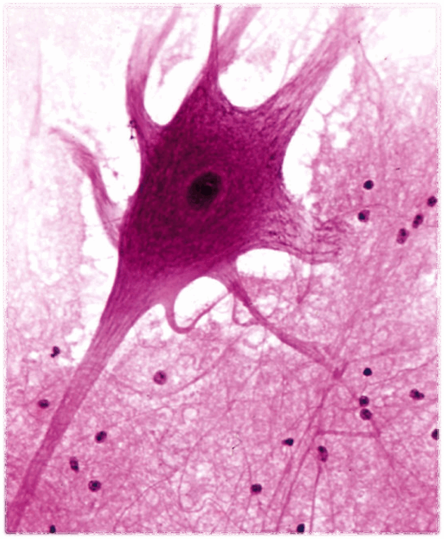 0601p8f5-82b3-881x1069.png