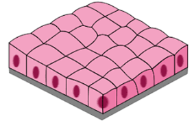 0601p8gh-6b71-283x176.png