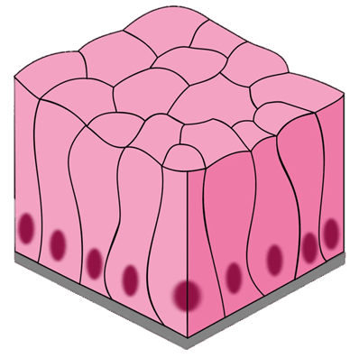 0601p8gv-f1ec-398x397.png