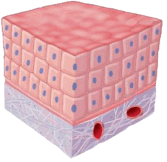 0601p8hi-75a2-332x323.png