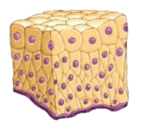 0601p8i7-f3fc-477x406.png