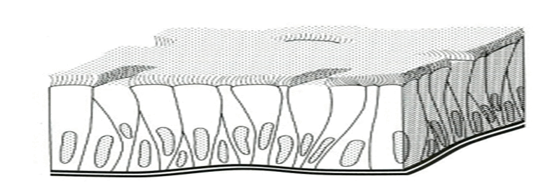 0601p8ik-f20a-795x261.png