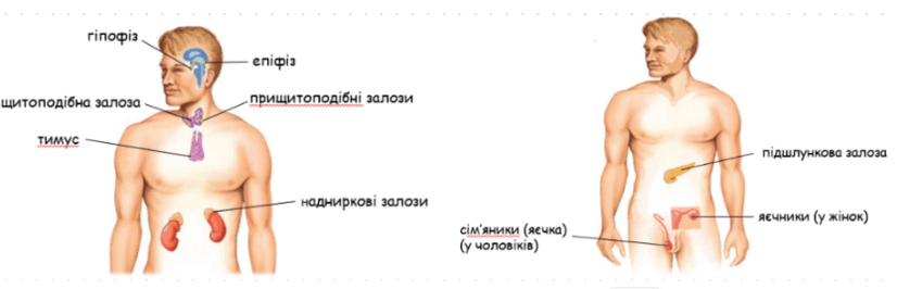 0601p9ey-7d51-826x266.png
