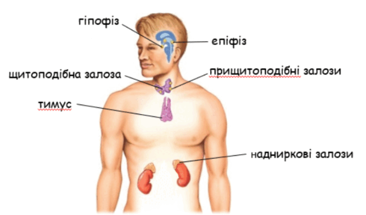 0601p9gu-e27e-714x420.png