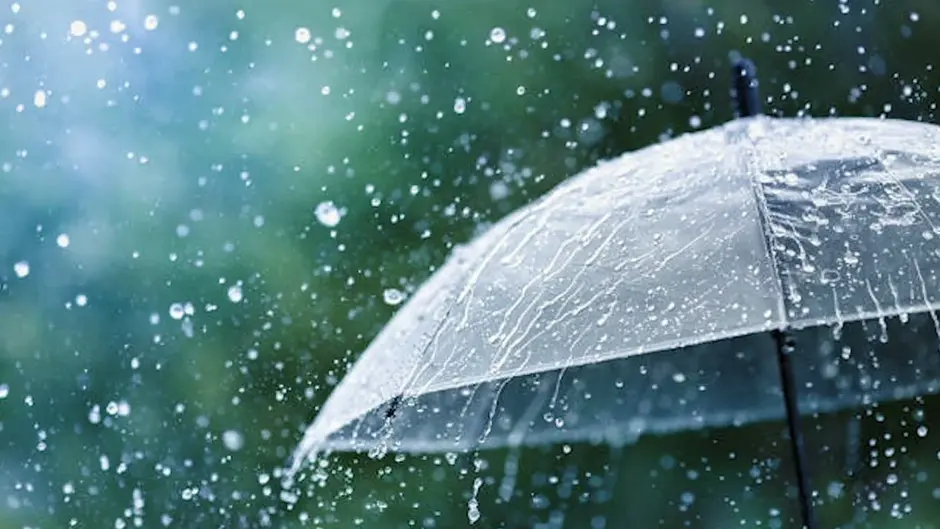 0601pdzy-09b7-940x529.webp