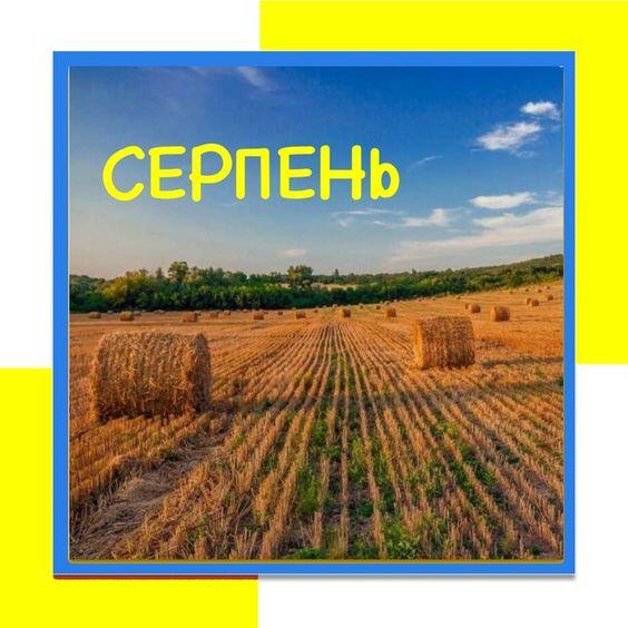 0601pkn4-68e0-564x564.jpg