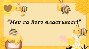 Презентація - проєкт "Мед та його властивості" Достідження з медом, цікаві факти про бджіл