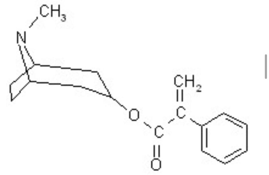 0601pphm-55ed-940x614.jpg