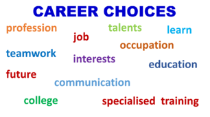 Career Choices. Vocabulary Presentation