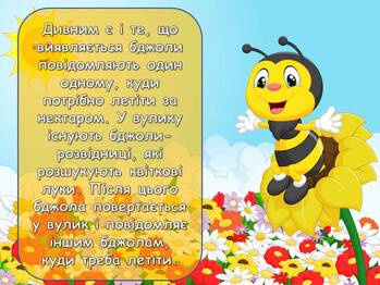 0601q14w-4b6f-349x262.jpg