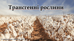 Трансгенні рослини - Навчальний проєкт - 9-11 клас