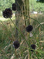 0601q6r9-4e7a-150x200.jpg