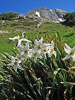0601q6s0-ebb1-150x200.jpg
