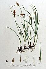 0601q6uo-459e-150x222.jpg