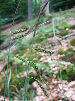 0601q6vo-220a-150x200.jpg