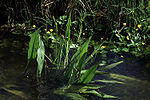 0601q6z1-a976-150x100.jpg