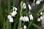 0601q715-cdce-150x100.jpg