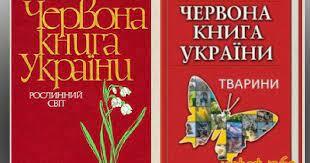 Червона книга України (безхребетні тварини)" | Ілюстрації. Біологія