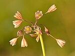 0601q77y-6dcd-150x112.jpg