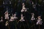 0601q789-2d98-150x100.jpg