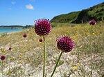 0601q78r-13ee-150x112.jpg