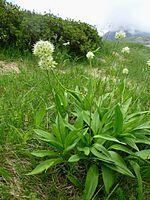 0601q7c0-ecc4-150x200.jpg