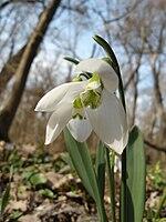 0601q7ca-8bf4-150x200.jpg