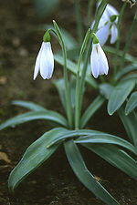 0601q7cv-9f78-150x225.jpg
