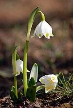 0601q7d4-4812-150x222.jpg