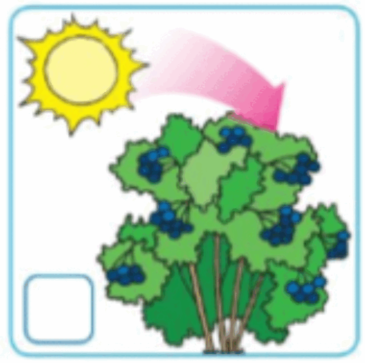 0601q9g3-a616-715x711.png