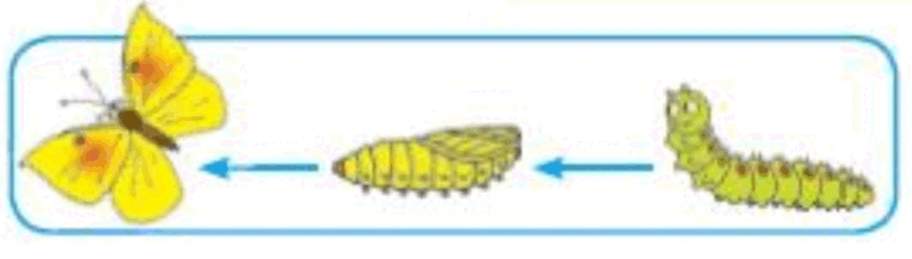 0601q9o5-7999-828x235.png