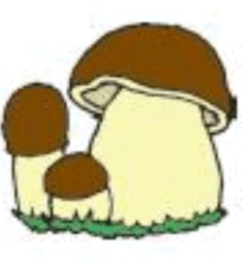 0601q9oc-c6ba-282x302.png