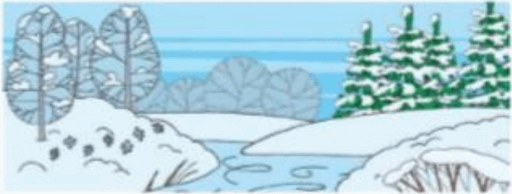0601qa6d-5254-736x279.png