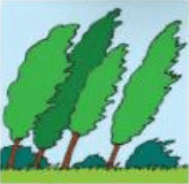 0601qagr-8951-661x642.png