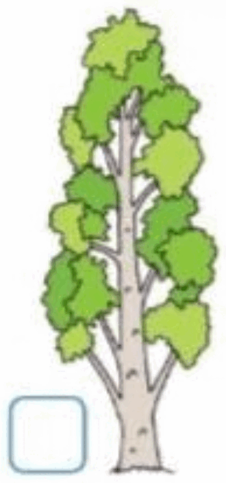 0601qank-0201-330x705.png