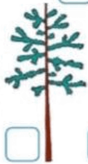 0601qanx-2d14-290x535.png